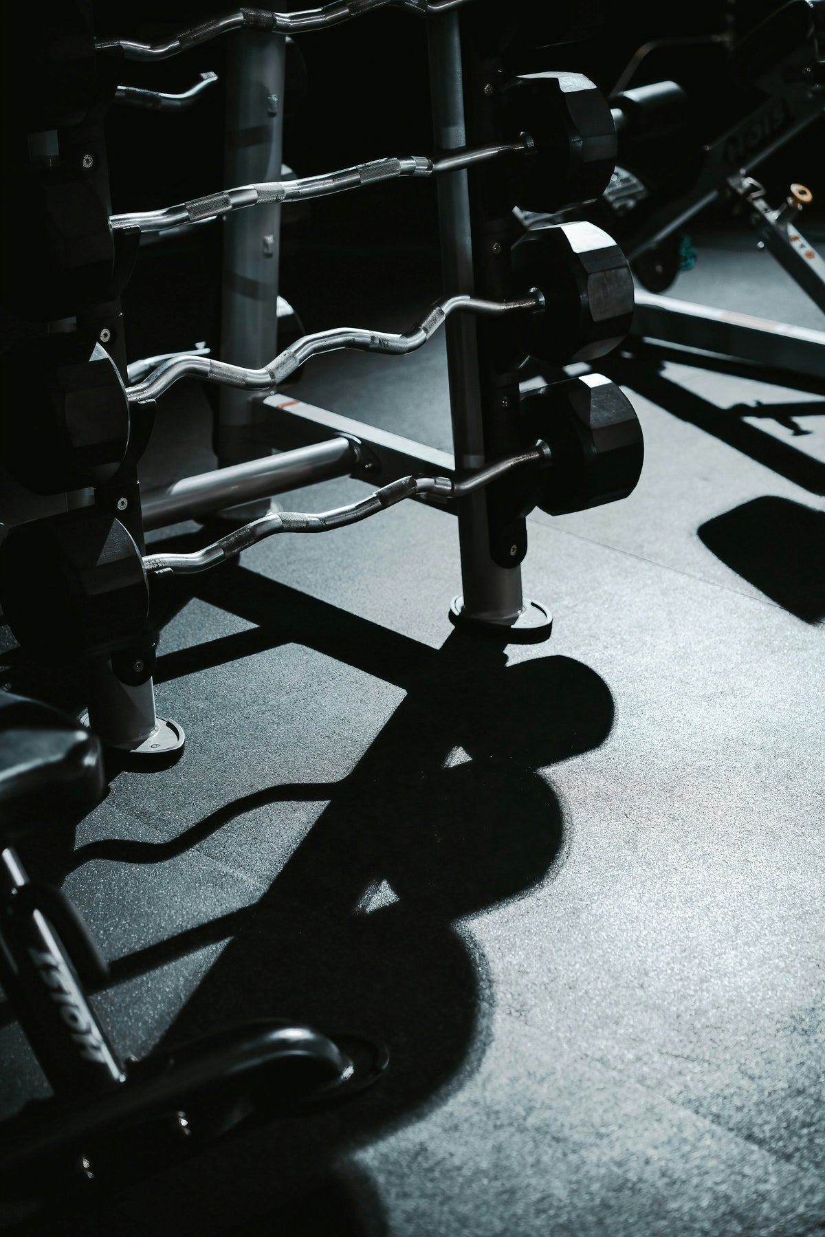 Barres et haltères dans une salle de musculation premium